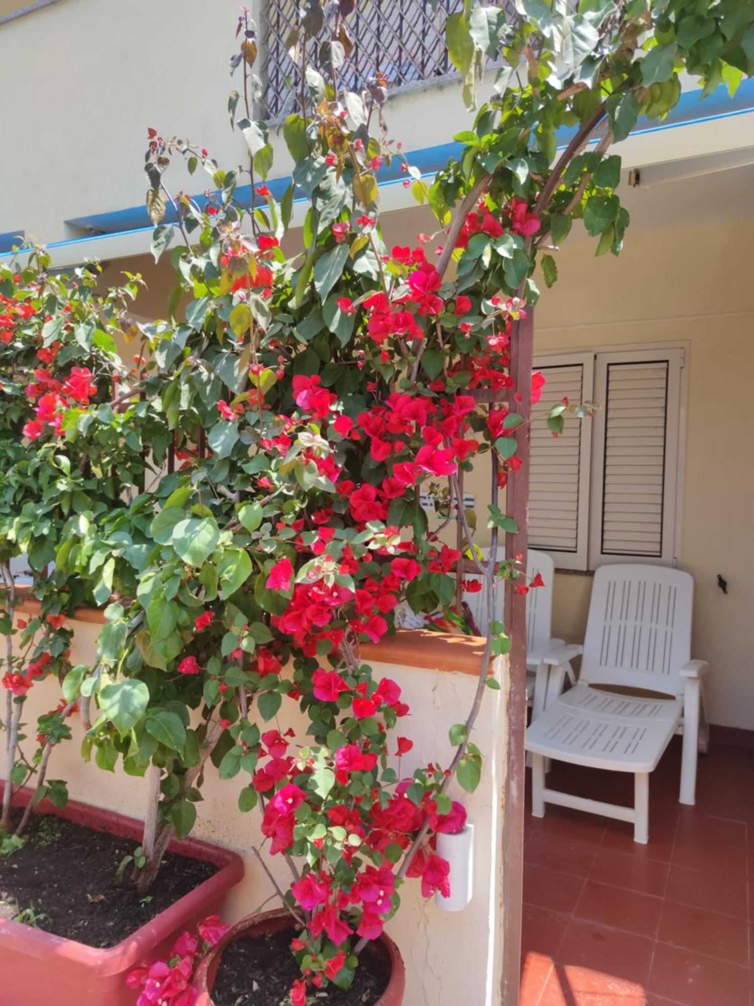 My Little House: Seaside Apartment with Patio and Parking Tropea Exterior photo