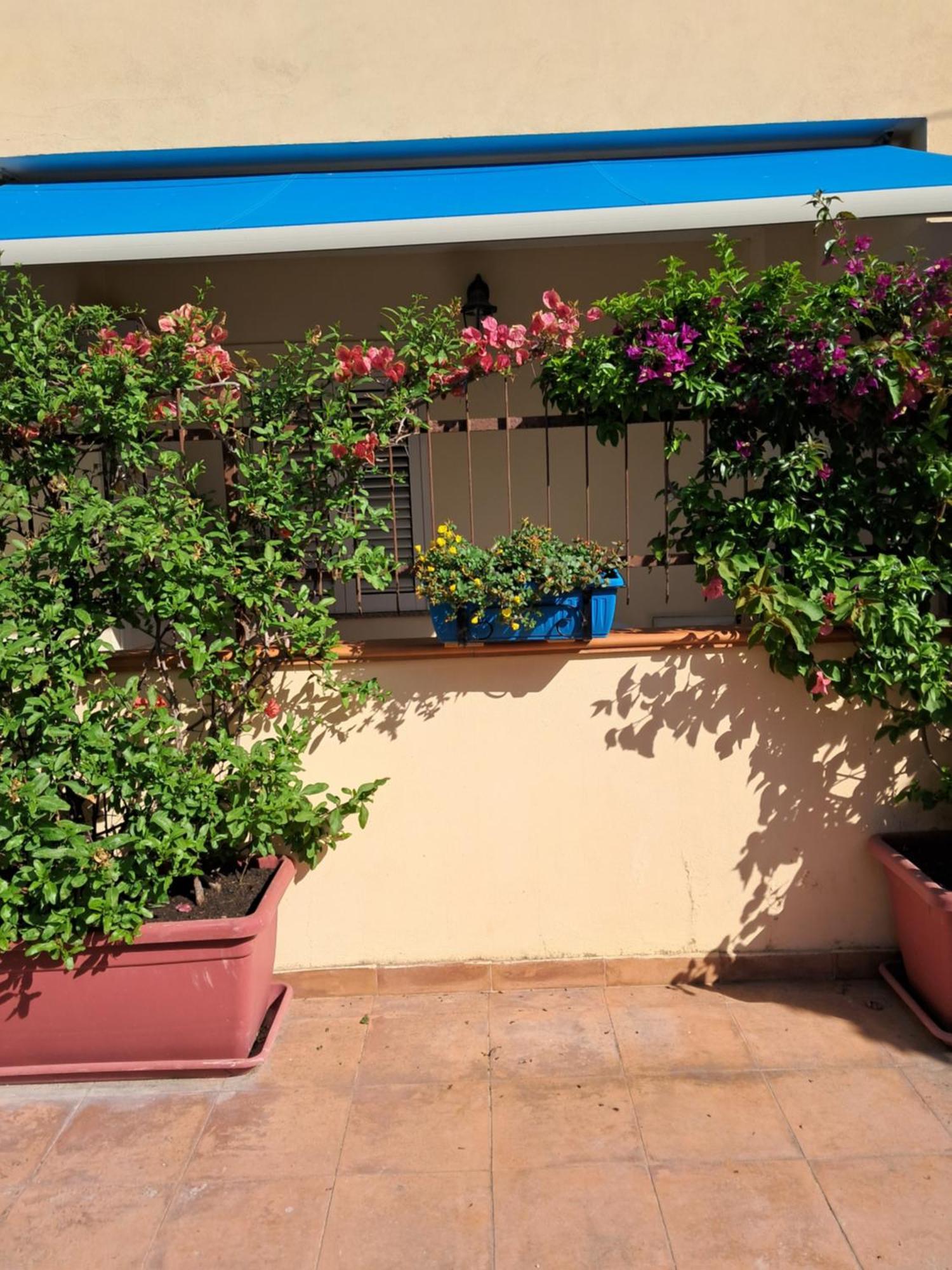 My Little House: Seaside Apartment with Patio and Parking Tropea Exterior photo